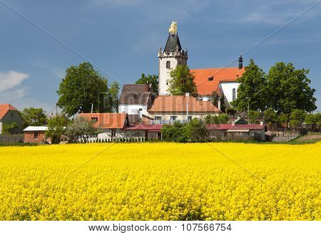 Church And Golden Rapeseed Field