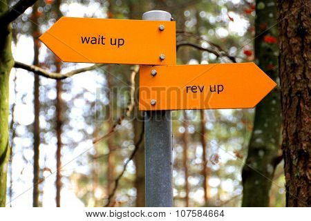 wait up and rev up