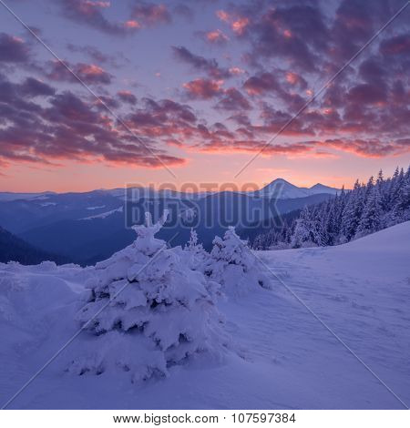 Fantastic orange evening landscape glowing by sunlight. Dramatic wintry scene with snowy trees. Kukul ridge, Carpathians, Ukraine, Europe. Merry Christmas!