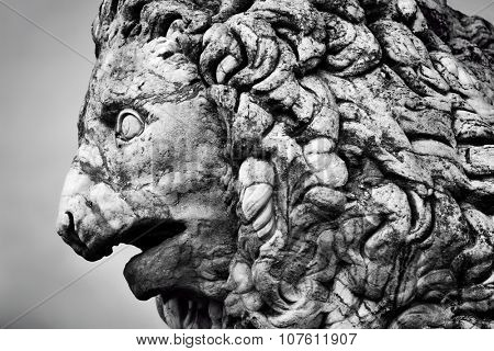 Ancient style sculpture of The Medici lion in Loggia dei Lanzi in Florence, Italy. Black and white