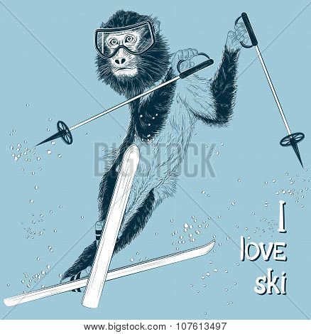 Monkey Skier On A Winter Background