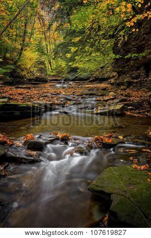 Autumn Waterfall