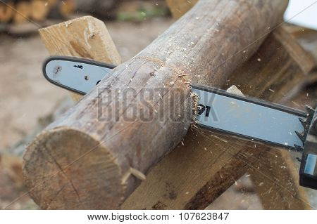 Working Saw And Pine Log