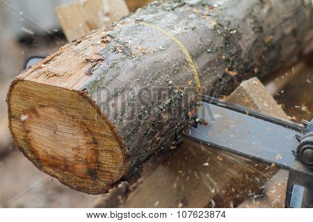 Working Saw And Log