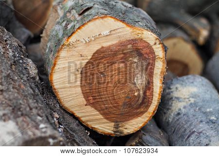 Clolr Log