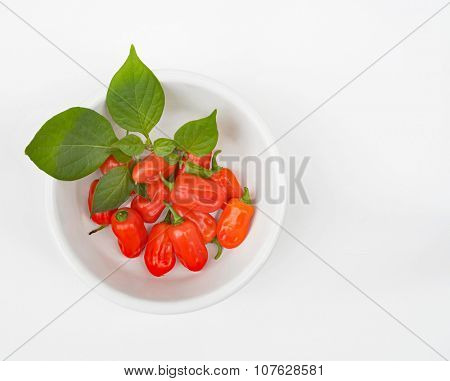 Zavory Mild Habanero Peppers in White Bowl