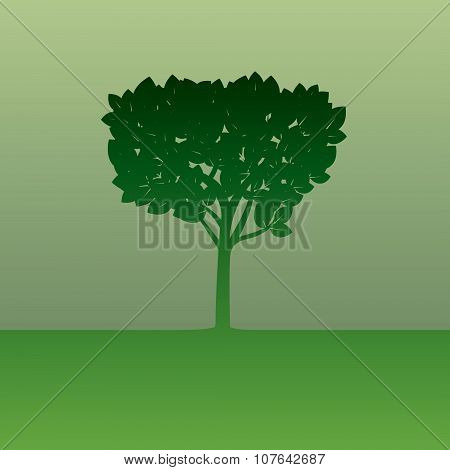 Color Tree. Vector Illustration.