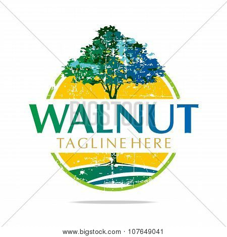 Logo Walnut