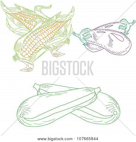 Set Drawn Dudovich Vegetables