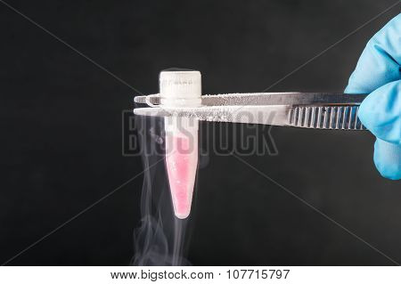 cryotube with cell suspension on liquid nitrogen bank.