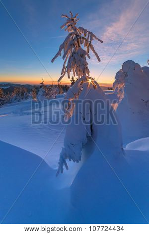 Fantastic orange evening landscape glowing by sunlight. Dramatic wintry scene with snowy trees. Kukul ridge, Carpathians, Ukraine, Europe. Merry Christmas!
