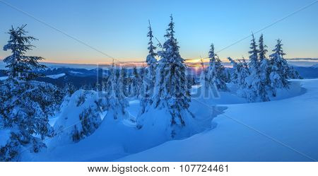 Fantastic orange evening landscape glowing by sunlight. Dramatic wintry scene with snowy trees. Kukul ridge, Carpathians, Ukraine, Europe. Merry Christmas!