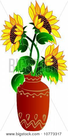 Sunflower in vase
