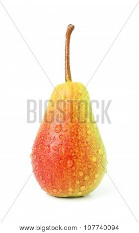 Wet Pear.