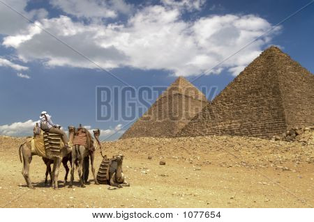 Chaleur du Sahara