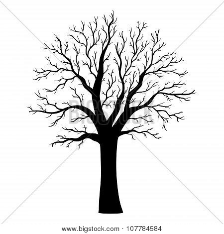 Tree Silhouette Vector