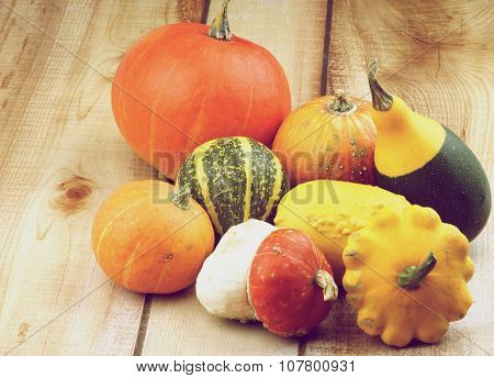Squash And Pumpkins