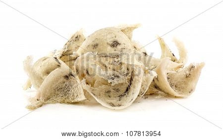 Group Of Raw Swallow Nest