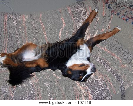 Spanie