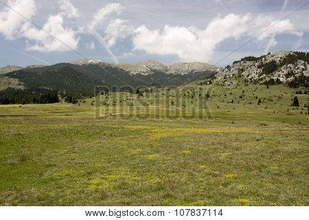 Oiti Mountain Meadows