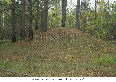 An Ancient Burial Mound