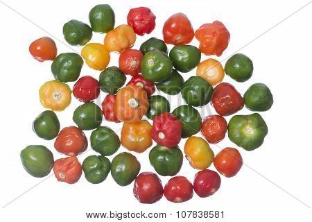 Scotch Bonnet Chili