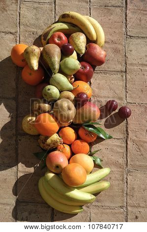 Still Life Of Fruit With Sunlight