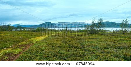 Tornetrask Lake Summer View ( Lapland, Sweden)