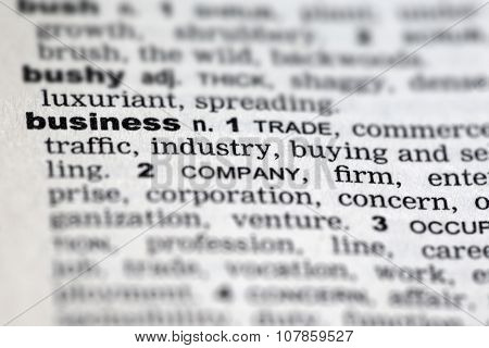 Dictionary Details