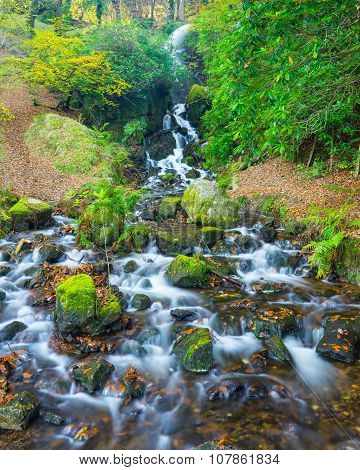 Waterfall Dartmoor National Park England