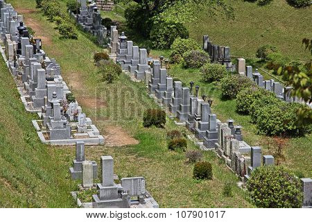 Cemetery In Japan