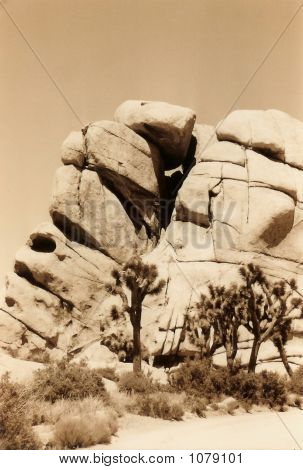 Parque Joshua Tree, sépia