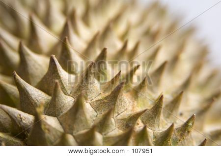 Durian 3