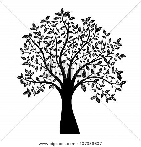 Tree Silhouette