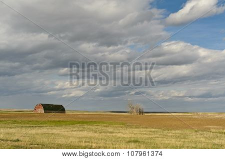 Scenic View Of Wheat Field And Barn