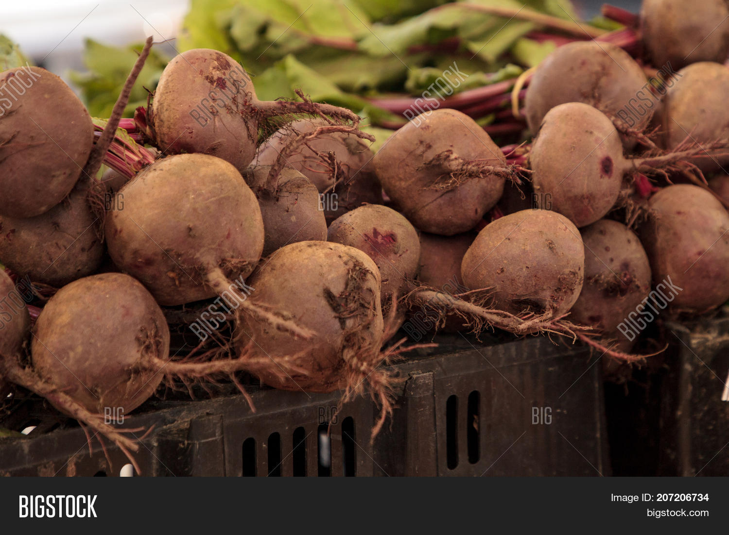 Bushel Red Beets Grown Image & Photo (Free Trial) Bigstock