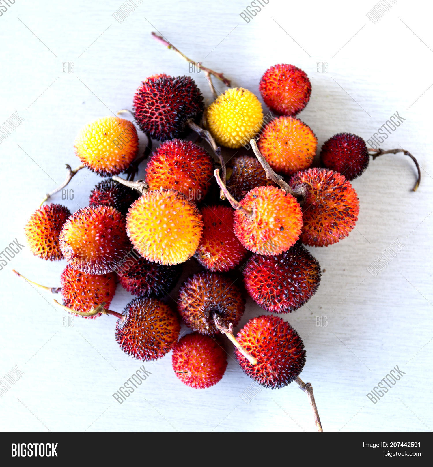 Edible Red Berries Image & Photo (Free Trial) Bigstock
