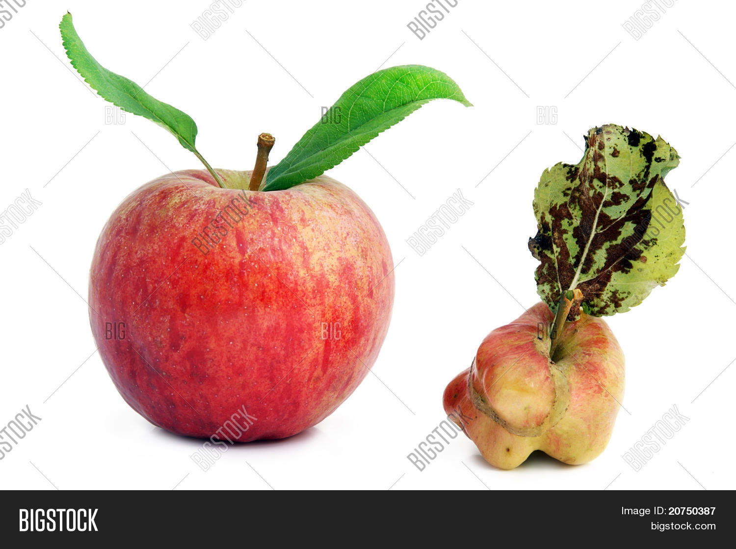 Healthy Young Sick Image & Photo (Free Trial) Bigstock