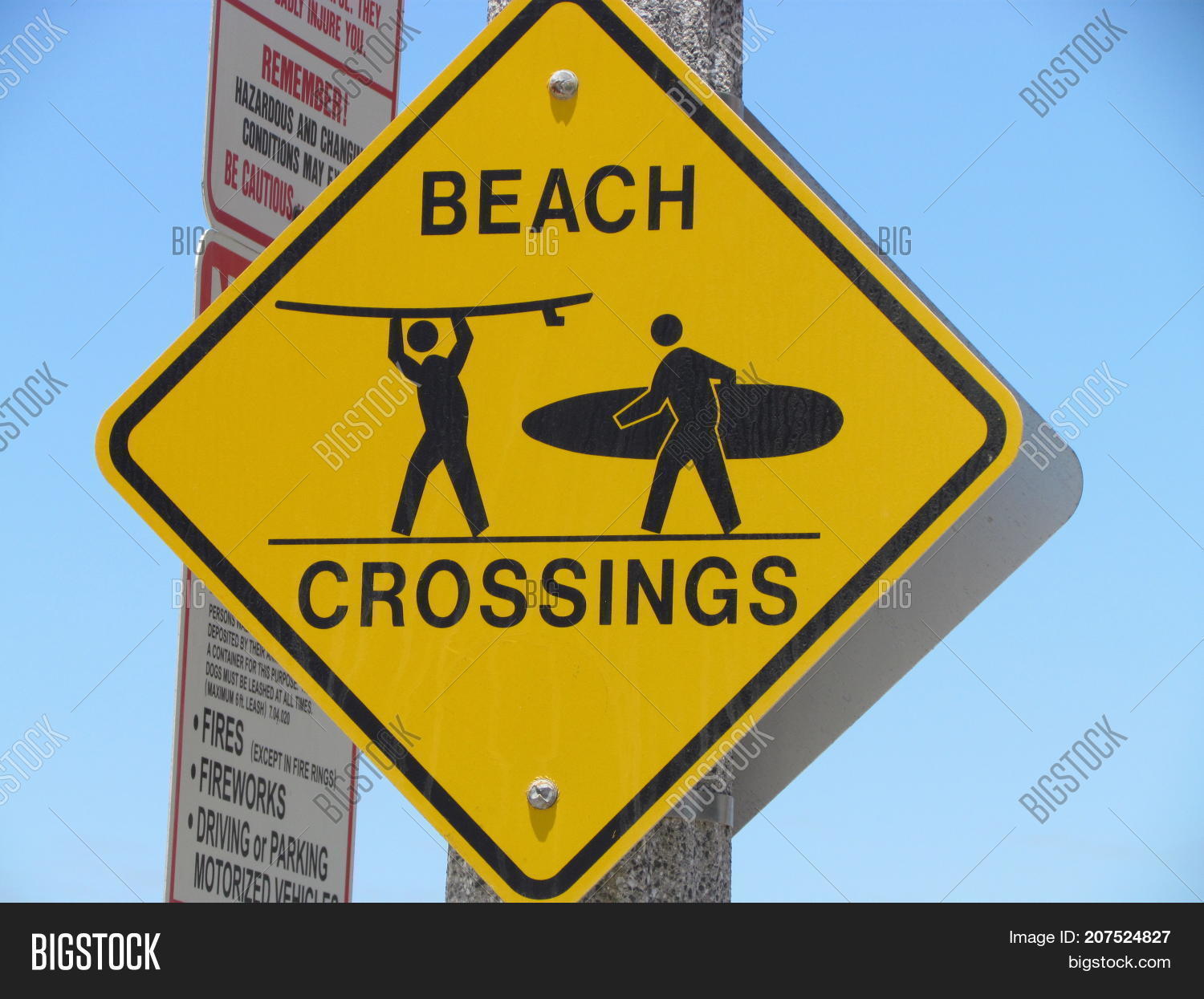 Beach Surfer Crossing Image & Photo (Free Trial) | Bigstock