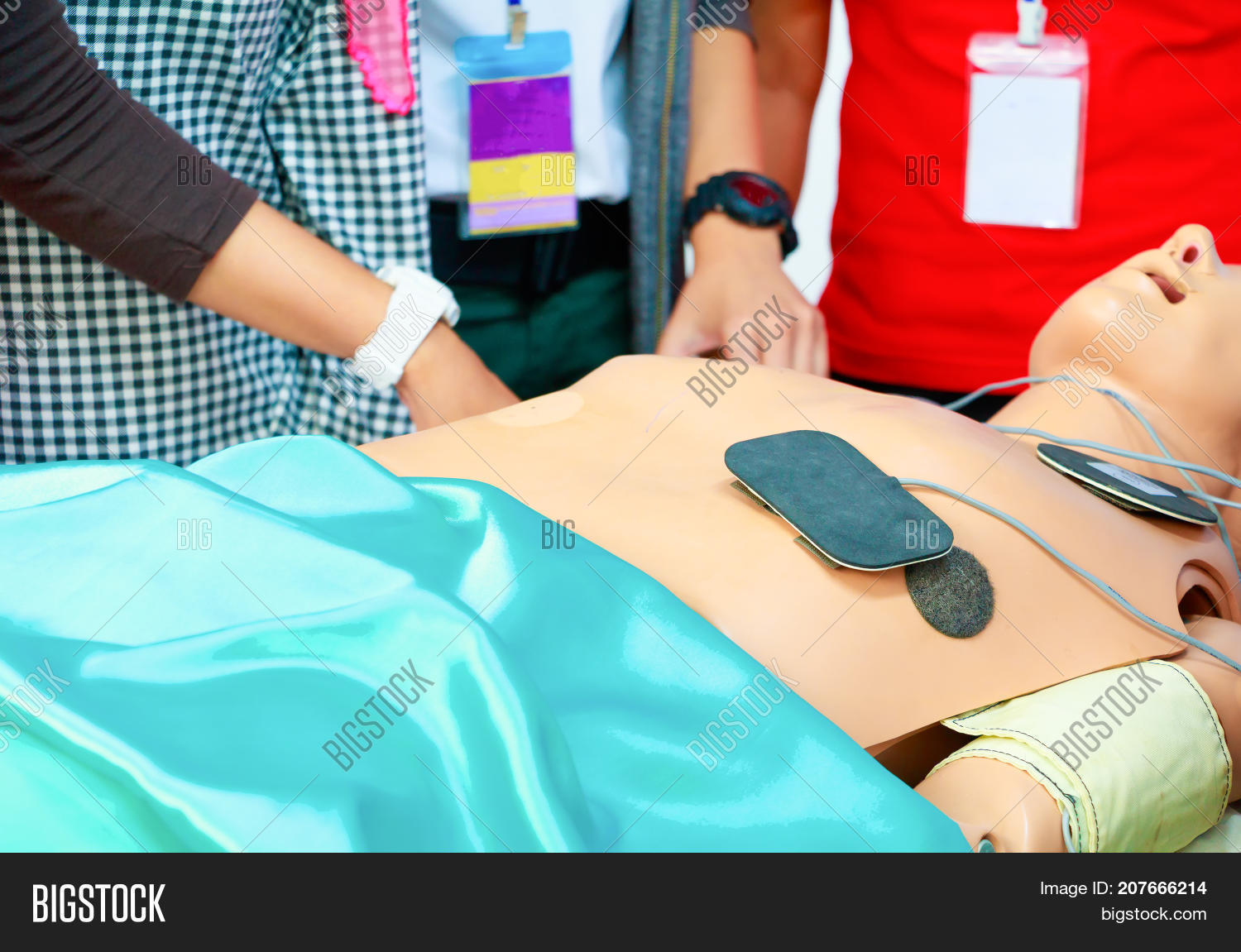 Dummy Training Cpr Image & Photo (Free Trial) Bigstock