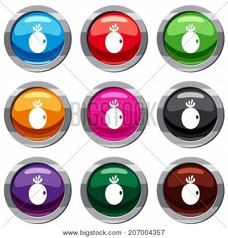Feijoa fruit set icon isolated on white. 9 icon collection vector illustration
