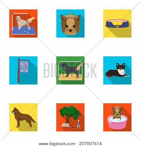 Walking with a dog, a vet clinic, a dog haircut, a puppy bathing, feeding a pet. Vet clinic and pet care set collection icons in flat style vector symbol stock illustration .