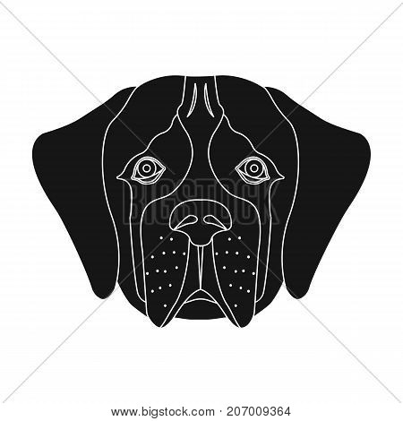 Breed of a dog, St. Bernard.Muzzle of St. Bernard single icon in black style vector symbol stock illustration .