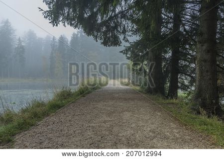 Morning Fog And Path Near Bahnak Ponds In Kladska Village