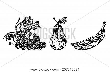 Outline of fruits isolatet on a white bachground. Hand drawn sketch. Vector illustrations