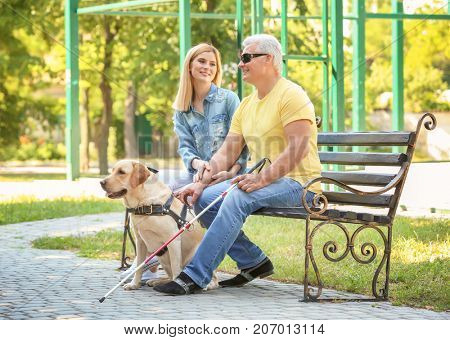 Young woman and blind man with guide dog sitting on bench in park