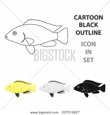 Cichlid hummingbird fish icon cartoon. Singe aquarium fish icon from the sea, ocean  cartoon.