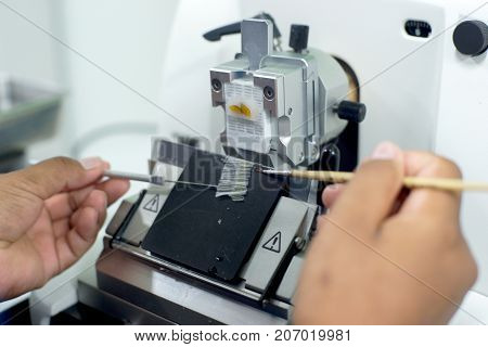 Rotary Microtome Section for diagnosis in pathology