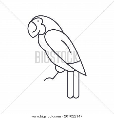 parrot vector line icon, sign, illustration on white background, editable strokes