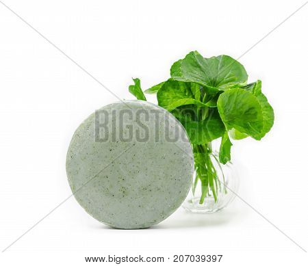Soap centella asiatice with fresh green leaf centella isolated on white background.
